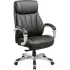 Кресло Бюрократ T-9921 черный (T-9921/BLACK) Кресло Бюрократ T-9921 черный (T-9921/BLACK)